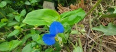 Enlarge photo 287