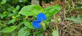Enlarge photo 288