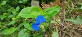 Enlarge photo 289
