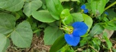Enlarge photo 294