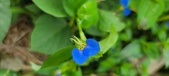 Enlarge photo 293