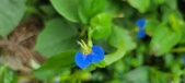 Enlarge photo 292