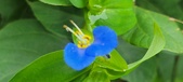 Enlarge photo 291