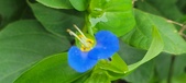 Enlarge photo 298
