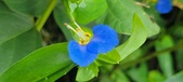 Enlarge photo 297