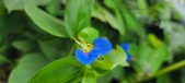 Enlarge photo 295