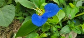 Enlarge photo 302