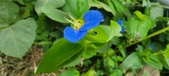 Enlarge photo 301