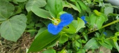 Enlarge photo 299