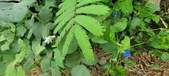 Enlarge photo 304