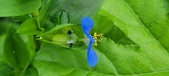 Enlarge photo 308