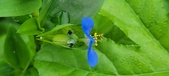 Enlarge photo 358