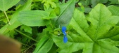 Enlarge photo 357