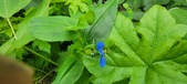Enlarge photo 356
