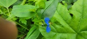 Enlarge photo 355
