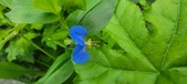 Enlarge photo 354