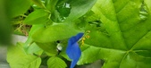 Enlarge photo 351