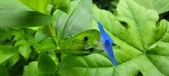 Enlarge photo 349
