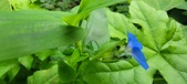 Enlarge photo 346