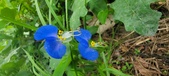 Enlarge photo 344
