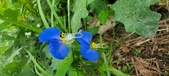 Enlarge photo 343