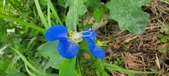Enlarge photo 340