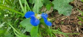Enlarge photo 339
