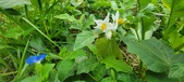 Enlarge photo 334