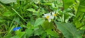 Enlarge photo 332