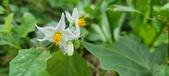 Enlarge photo 331