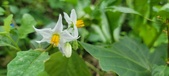 Enlarge photo 330