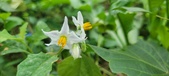 Enlarge photo 329