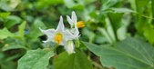 Enlarge photo 328