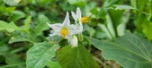 Enlarge photo 326