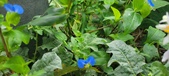 Enlarge photo 324