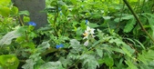 Enlarge photo 322