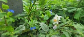 Enlarge photo 320