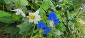 Enlarge photo 318