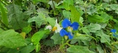 Enlarge photo 314