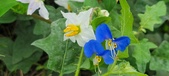 Enlarge photo 359
