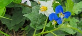 Enlarge photo 361