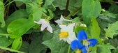 Enlarge photo 364