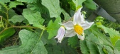 Enlarge photo 367