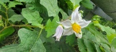 Enlarge photo 368
