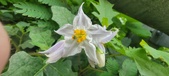 Enlarge photo 372