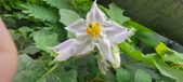Enlarge photo 373