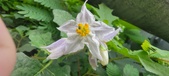 Enlarge photo 374