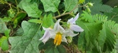 Enlarge photo 375