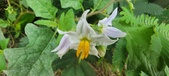 Enlarge photo 376