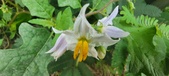 Enlarge photo 377